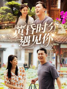 黄昏时分遇见你全集