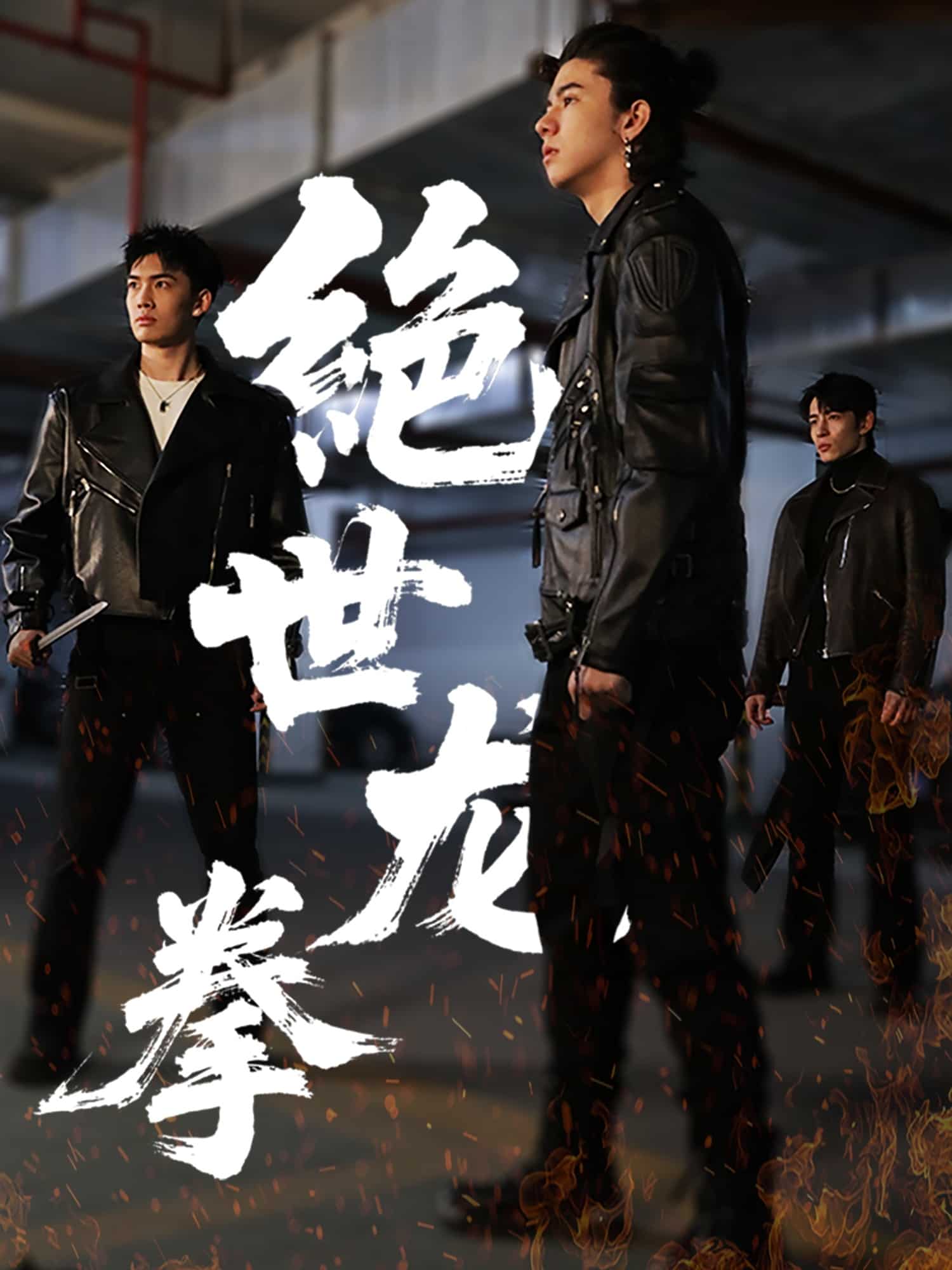 绝世龙拳全集