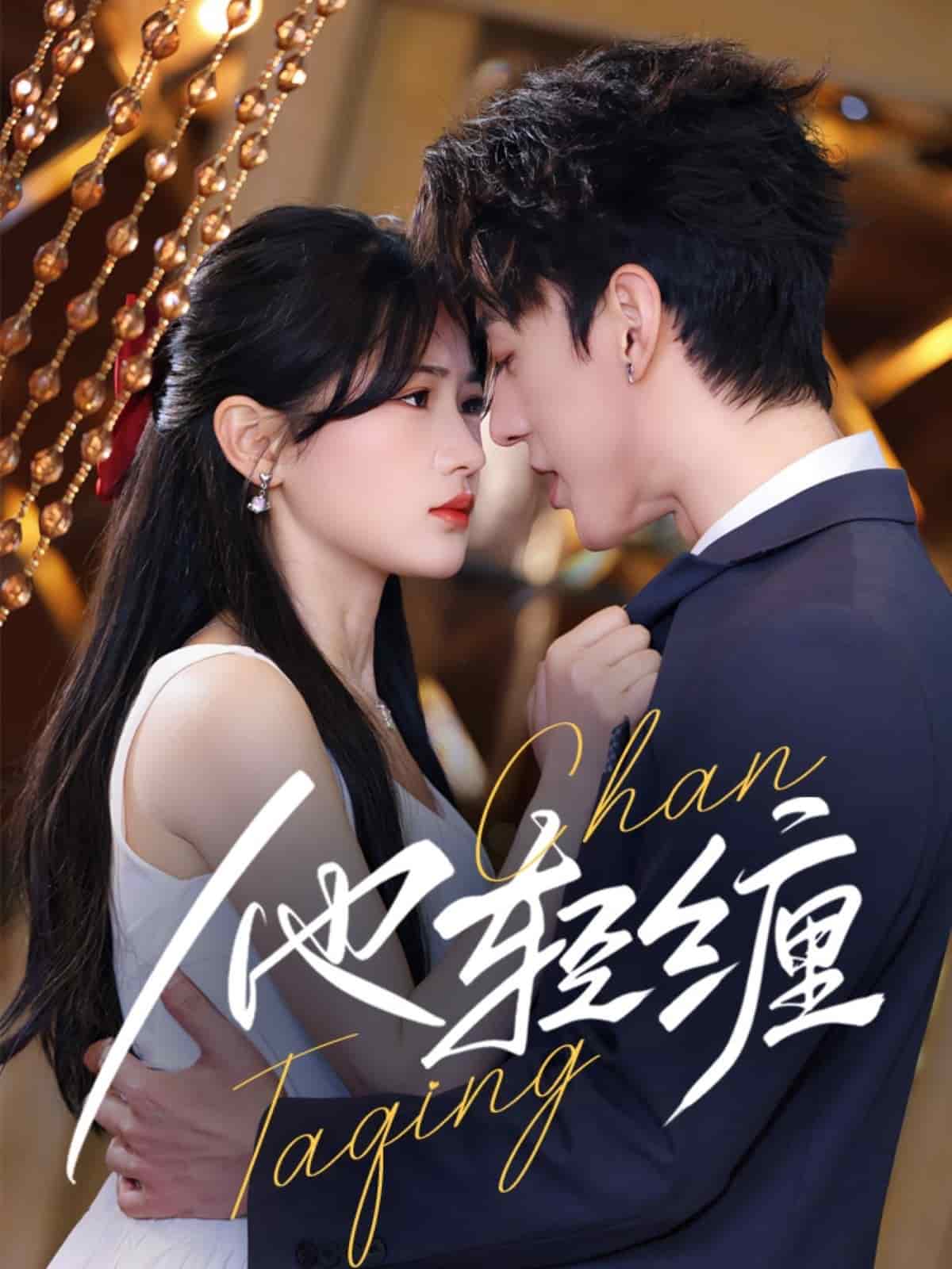 他轻缠全集