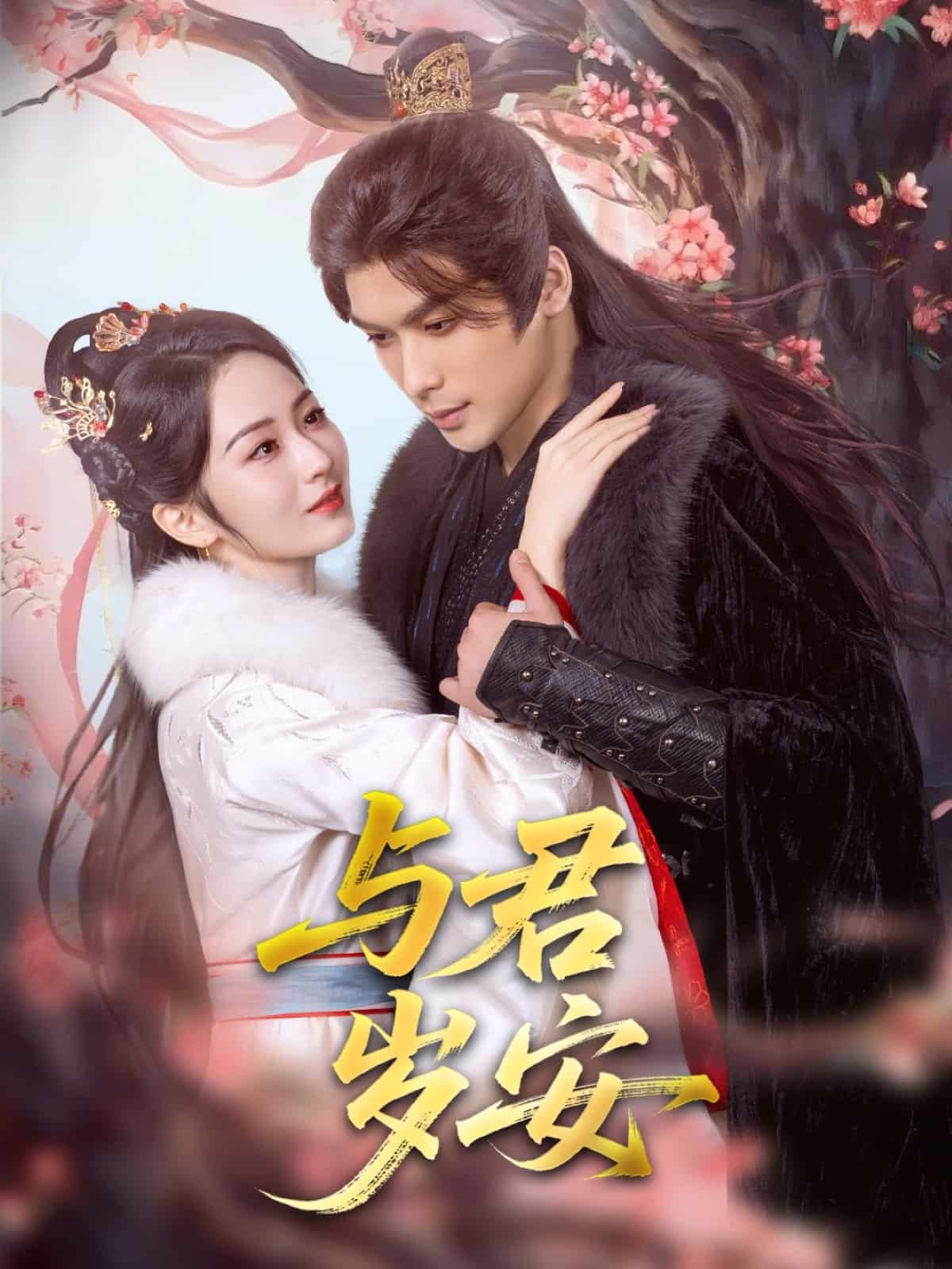 与君岁安全集