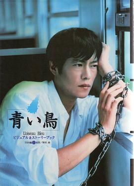 青鸟1997全集