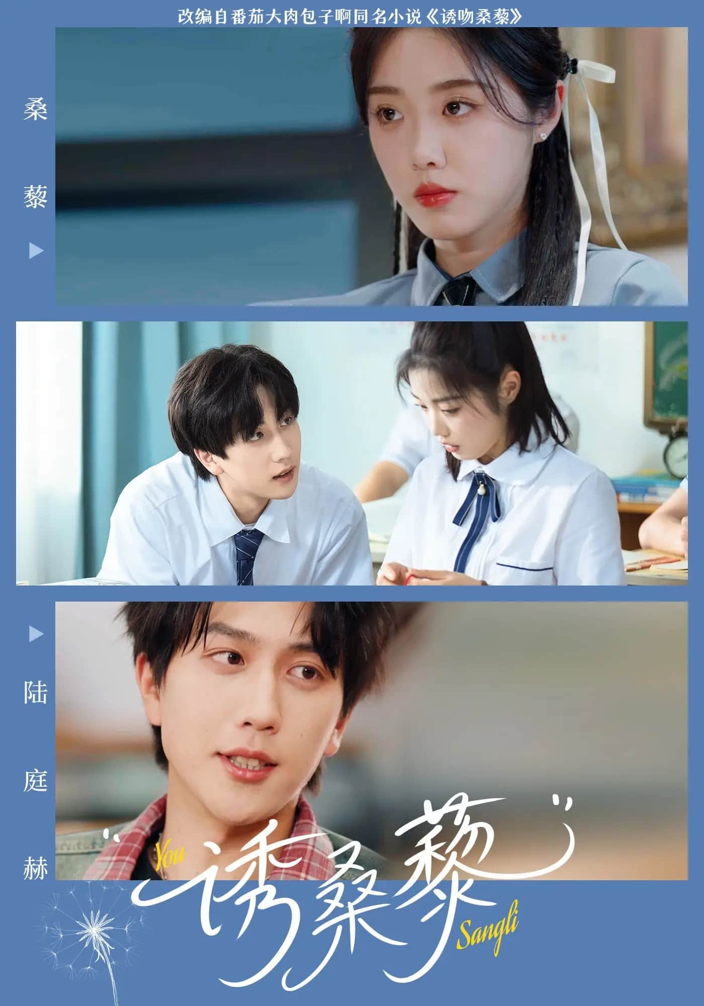 诱桑藜全集