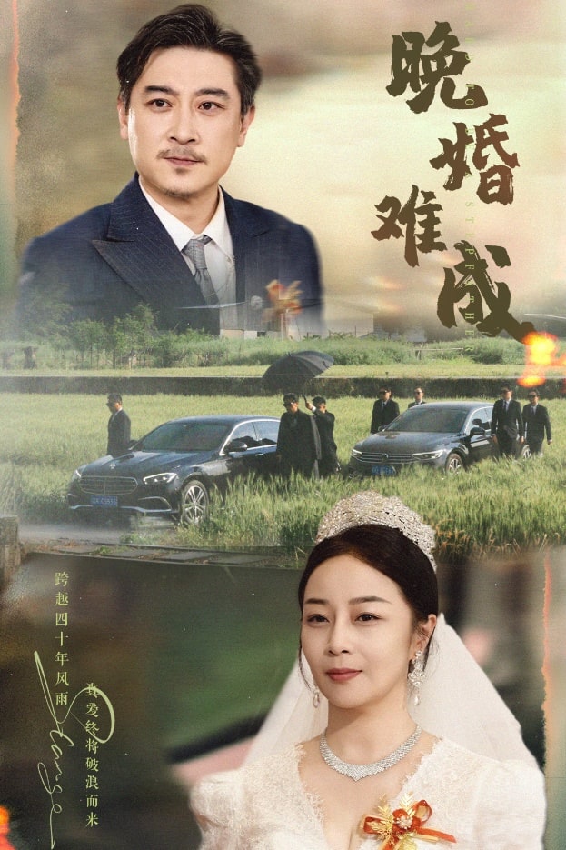 晚婚难成全集