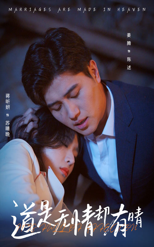 道是无情却有晴全集