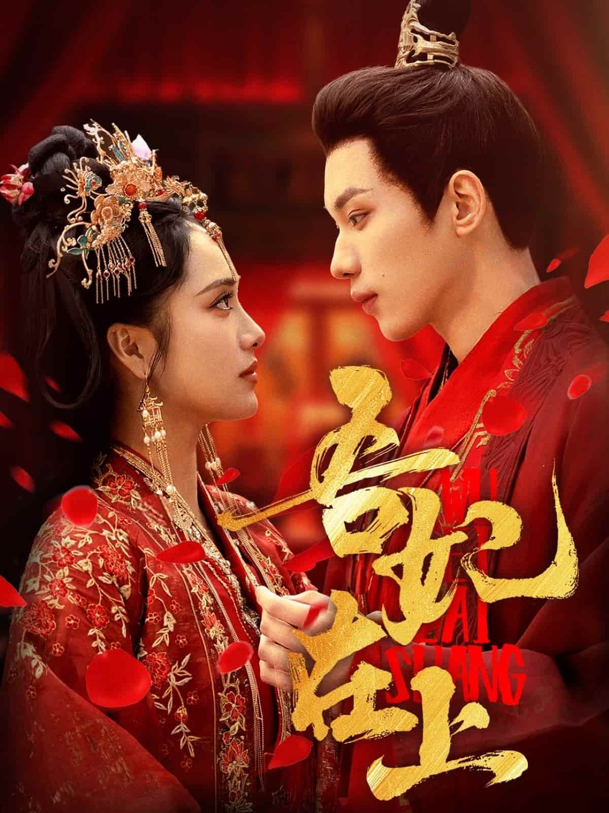 吾妃在上全集