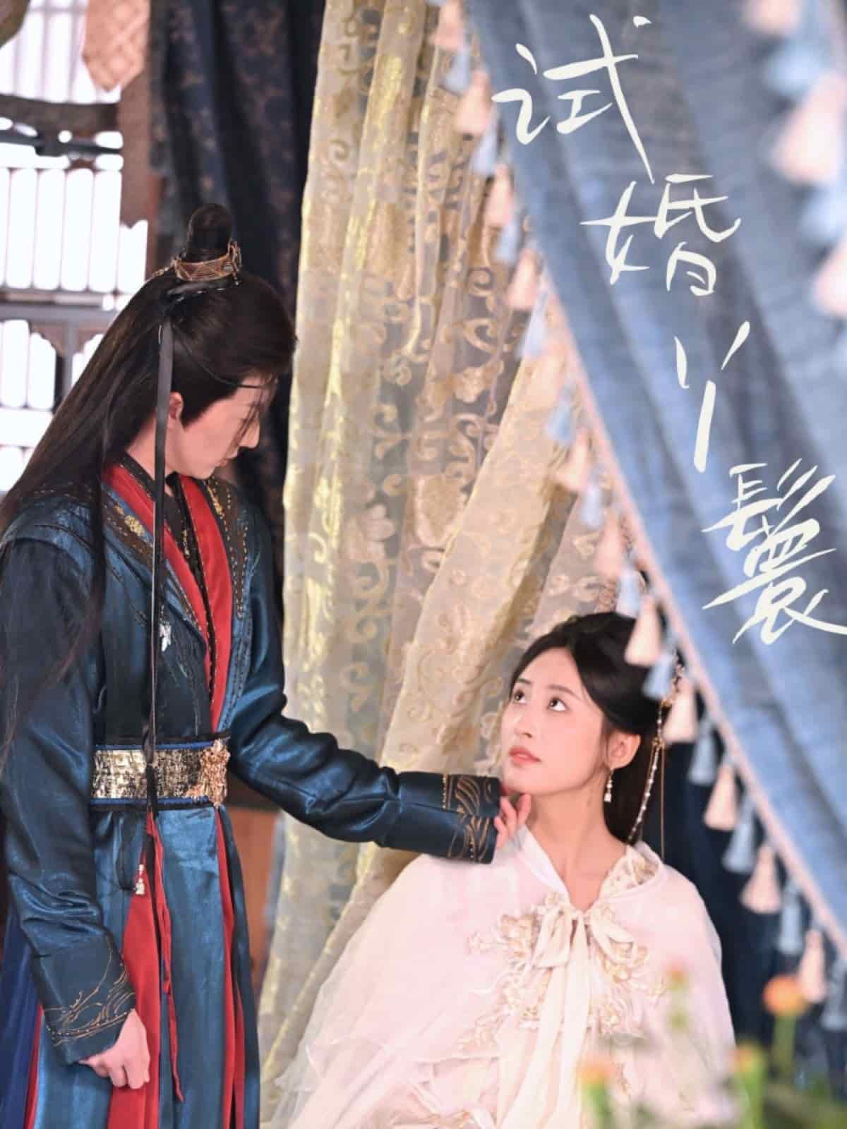 试婚丫鬟全集