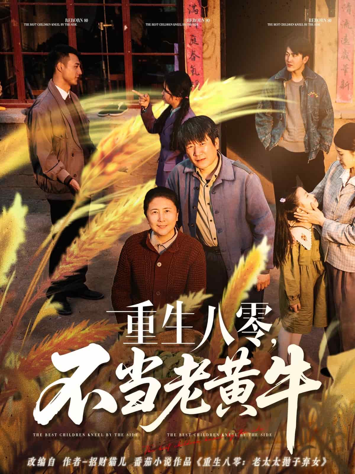 重生八零，不当老黄牛全集