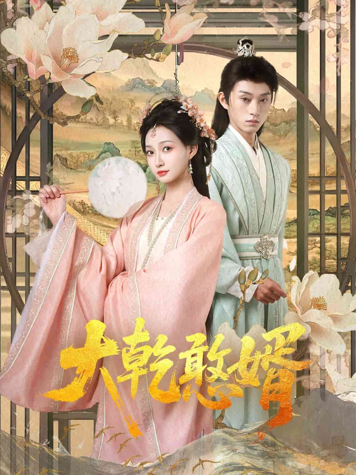 大乾憨婿全集