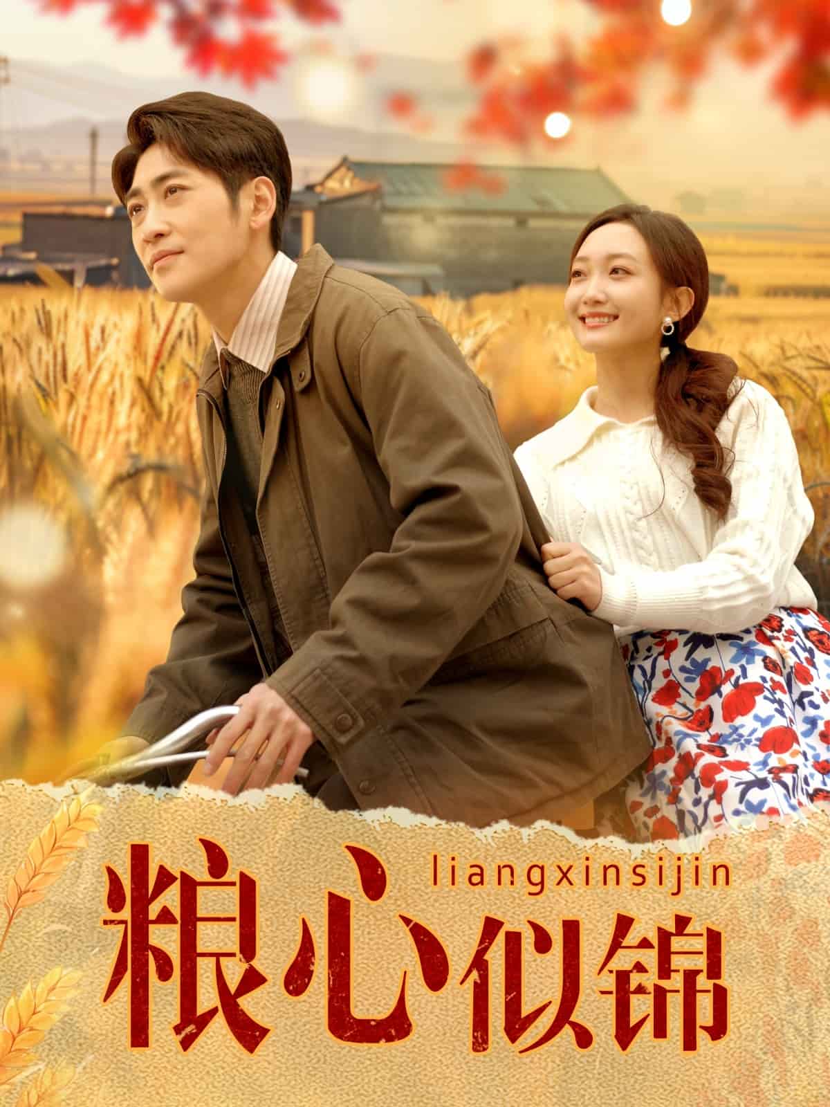 粮心似锦全集