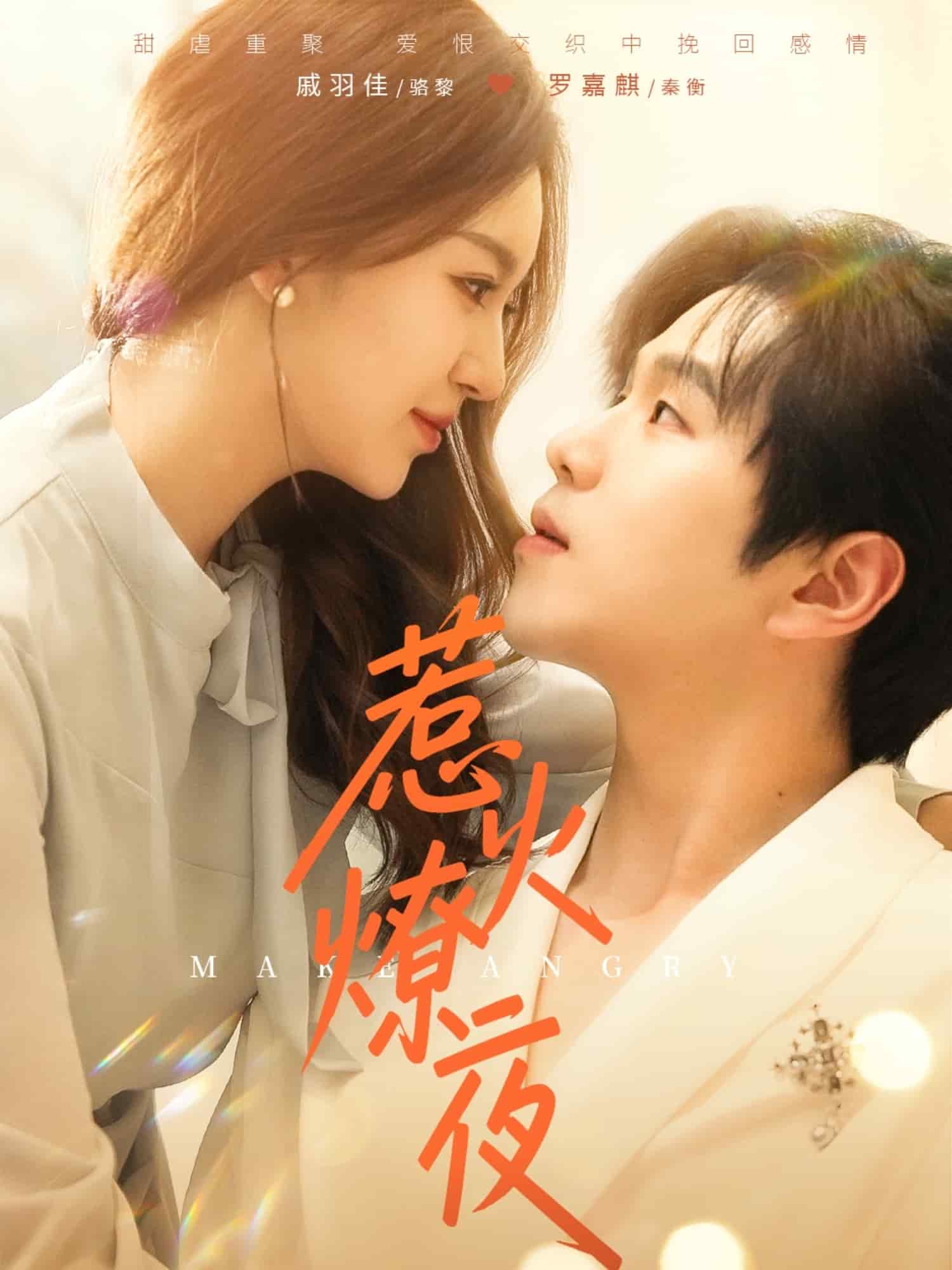 惹火燎夜全集