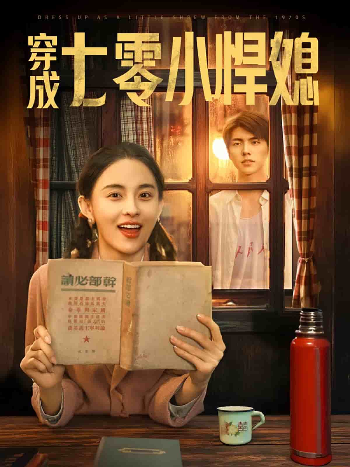 穿成七零小悍媳全集