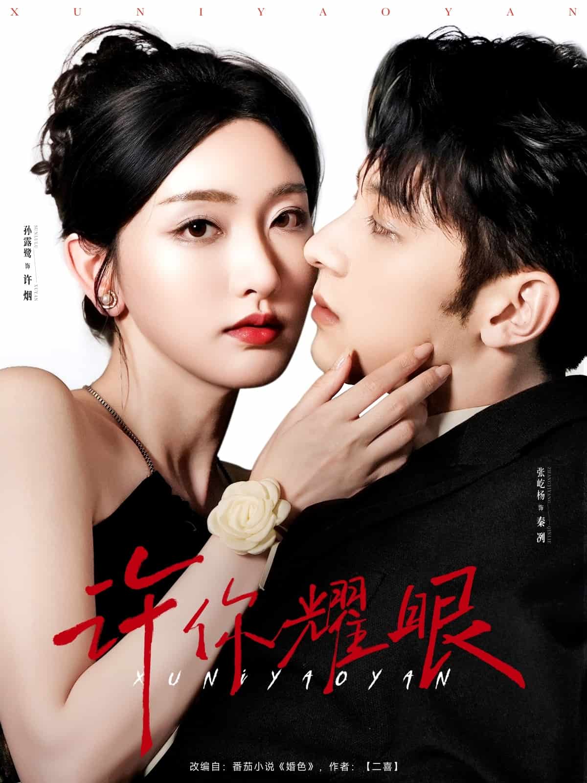 许你耀眼全集