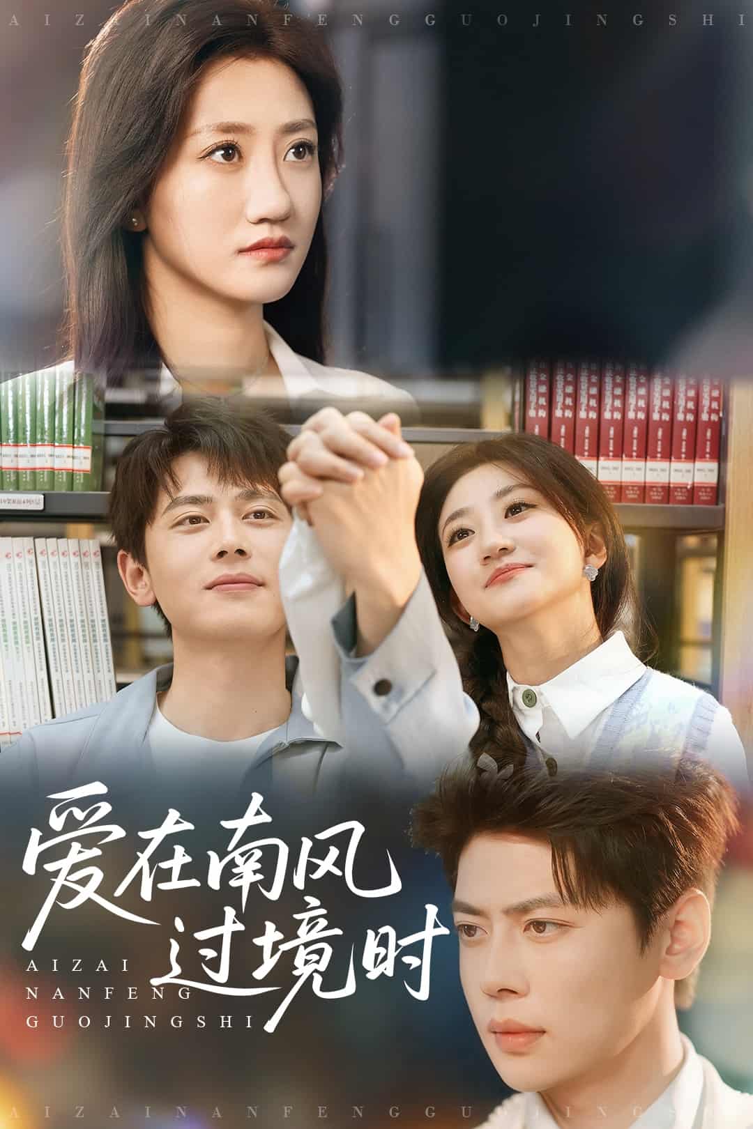 爱在南风过境时全集