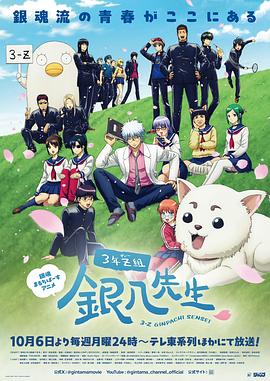 3年Z组银八老师全集