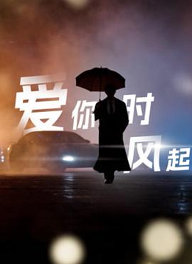 爱你时风起全集