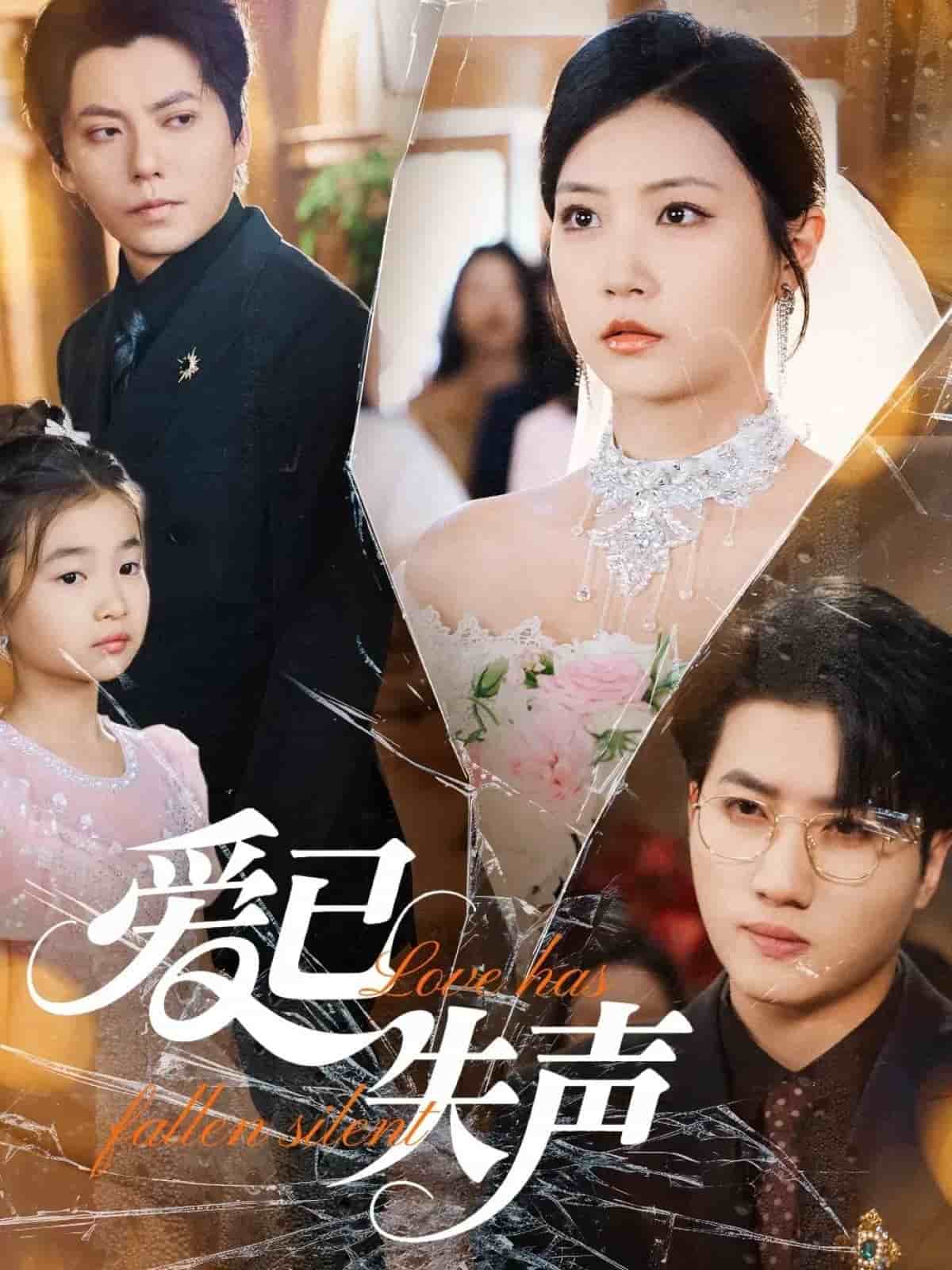 爱已失声全集