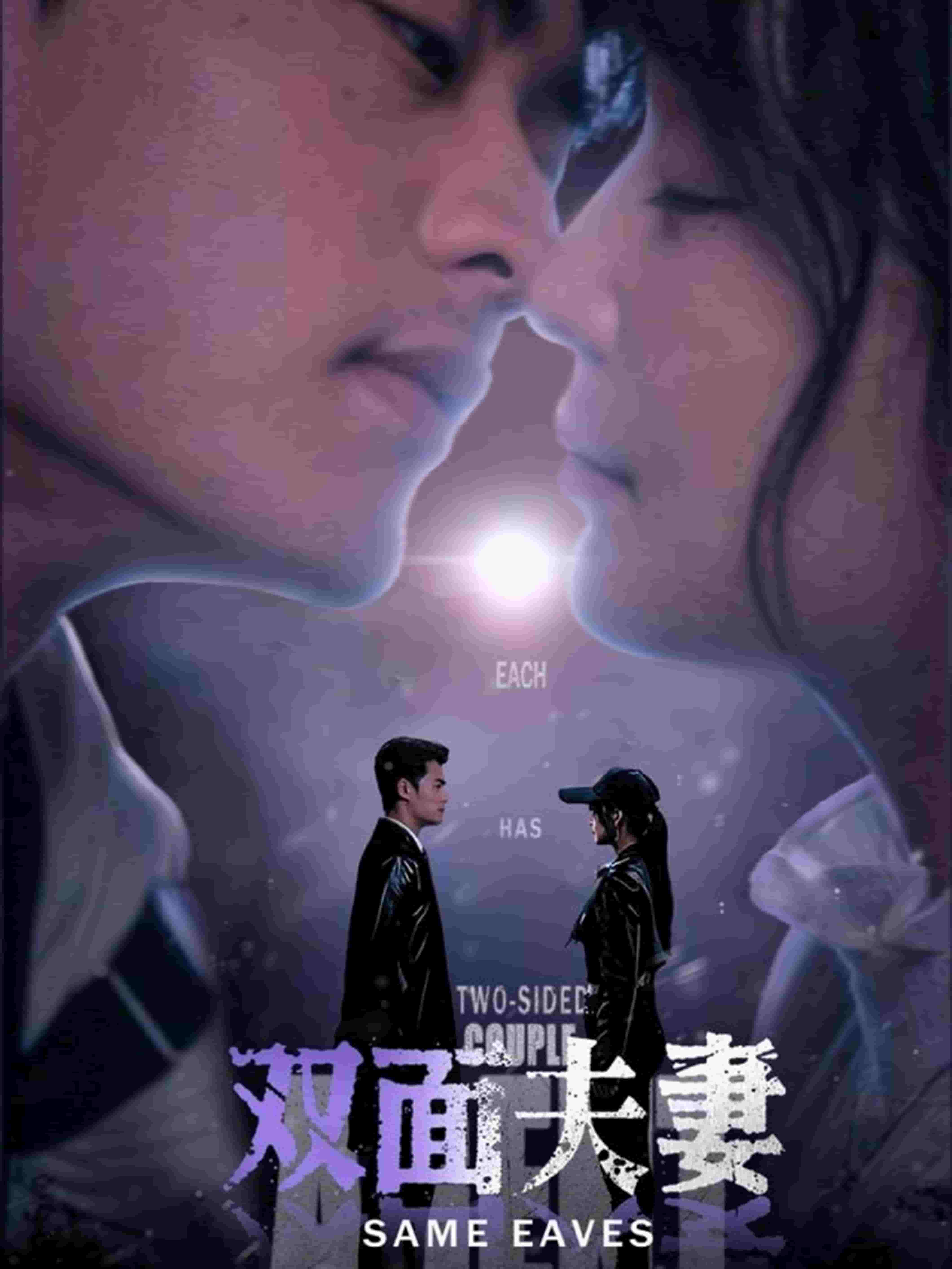 双面夫妻全集