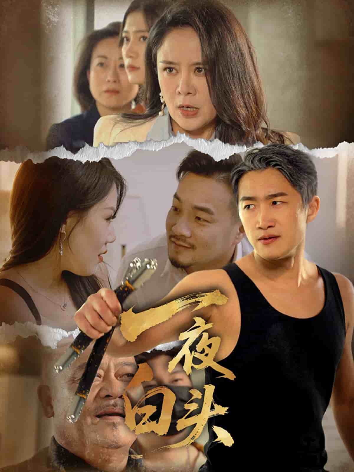 一夜白头全集