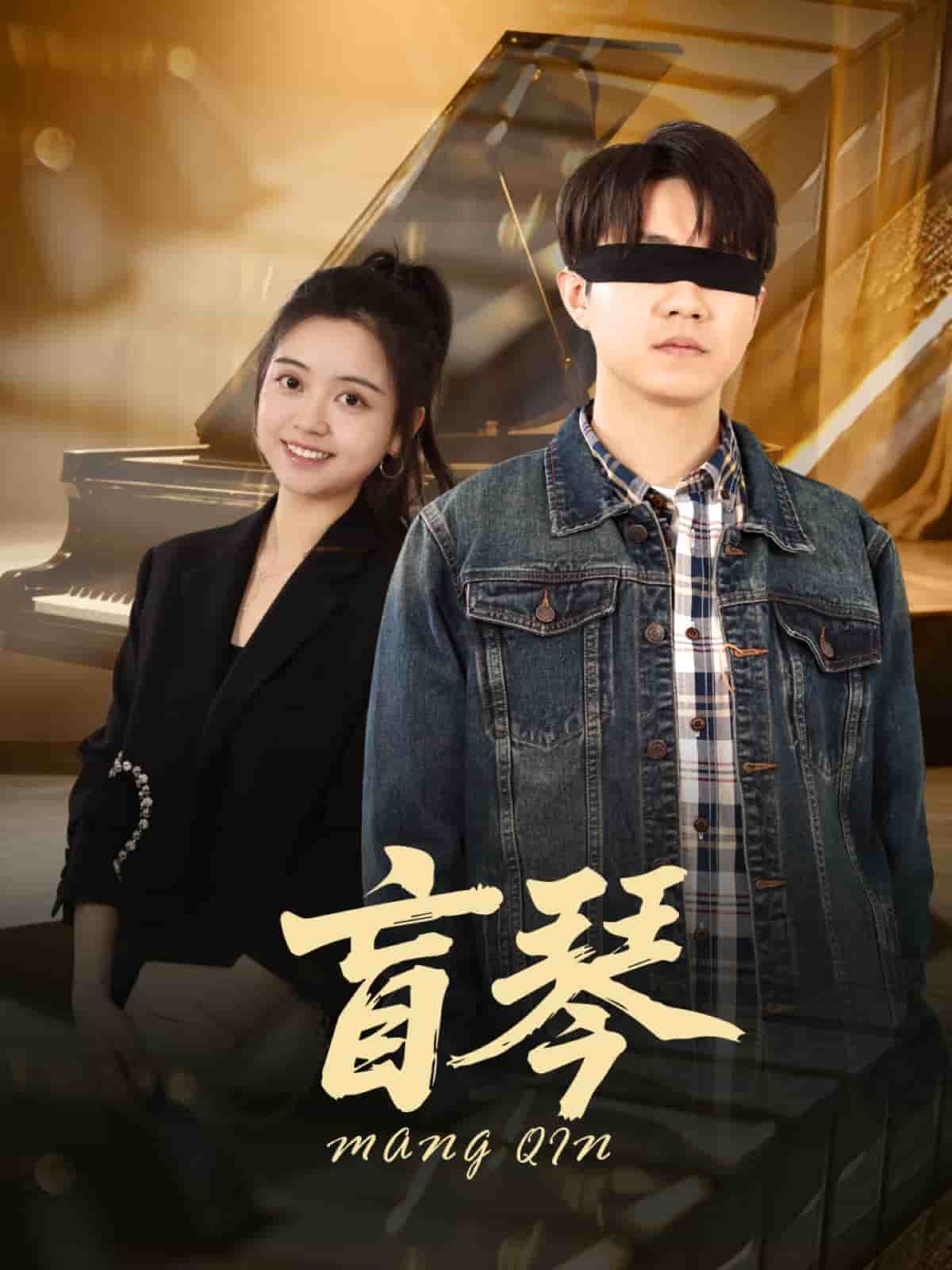 盲琴全集