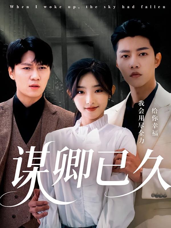 谋卿已久全集