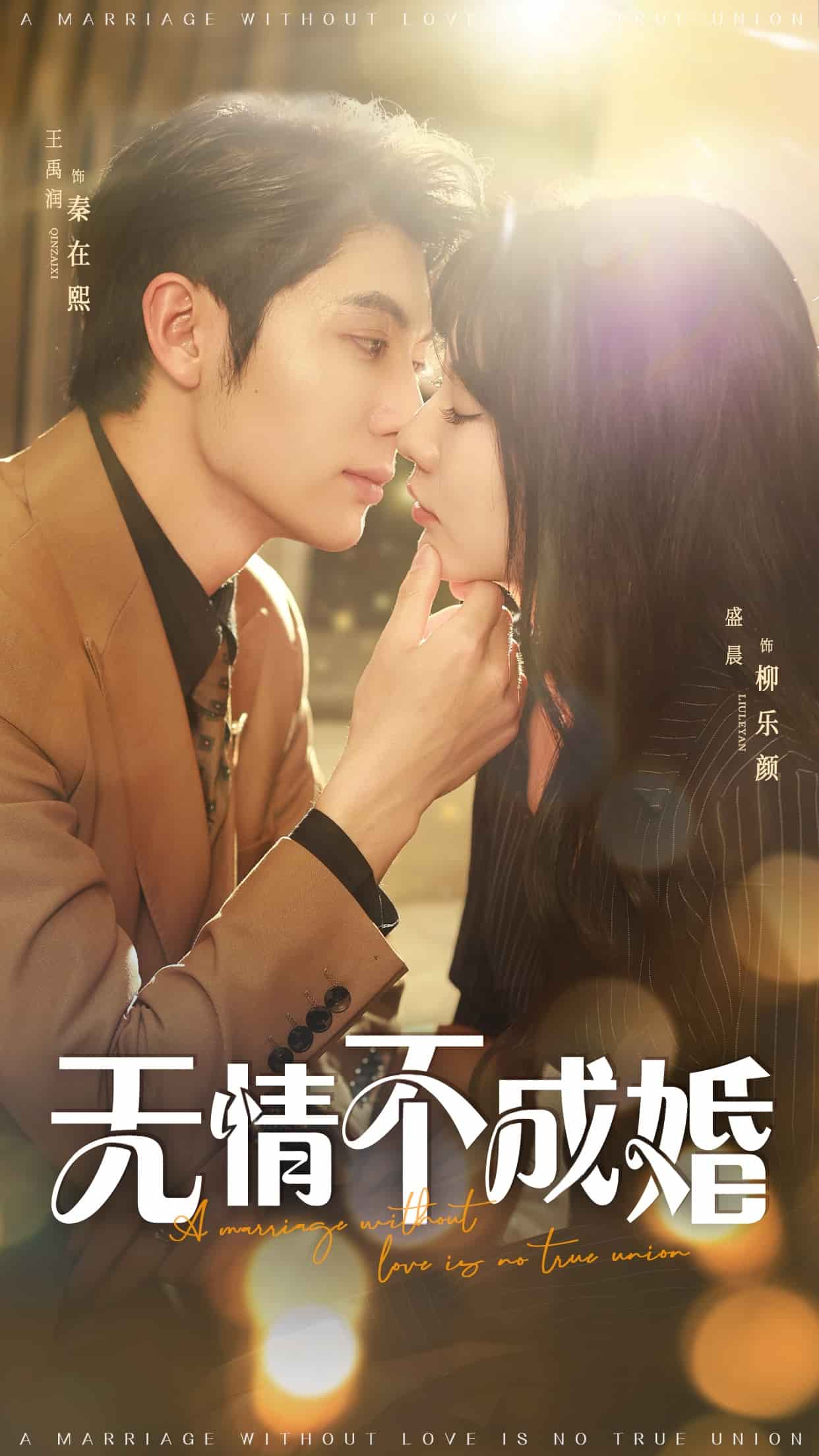 无情不成婚全集
