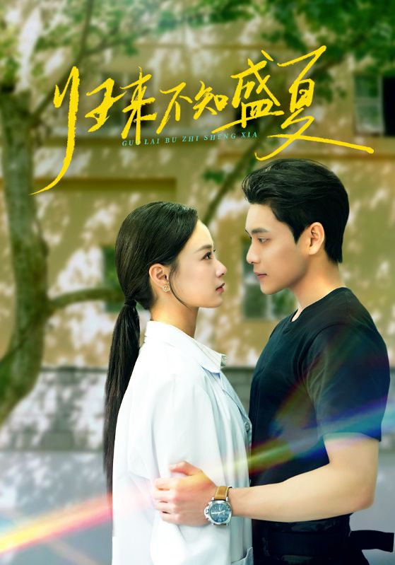 归来不知盛夏全集