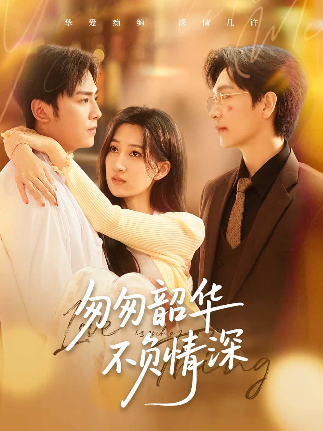 匆匆韶华不负情深全集