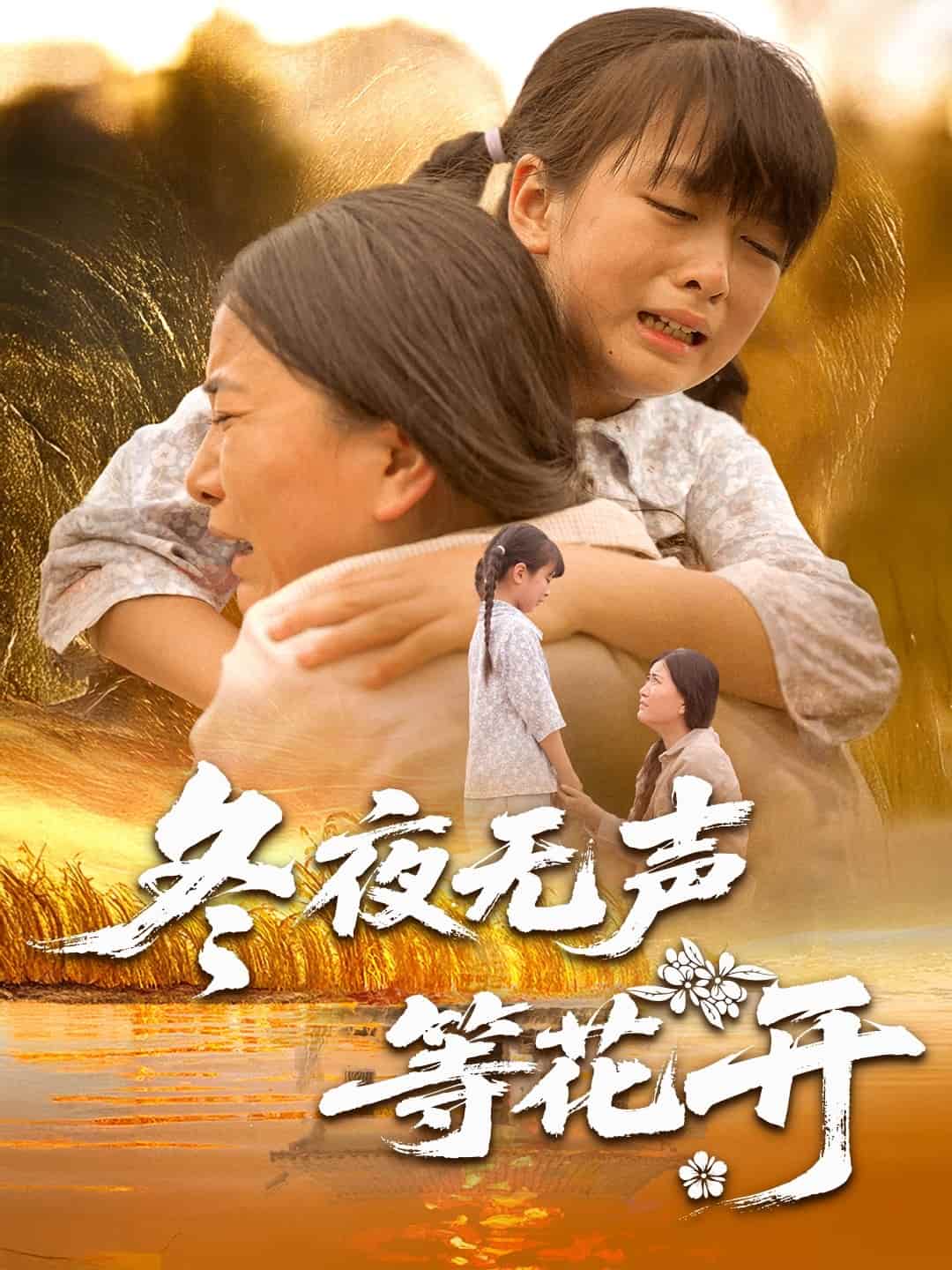 冬夜无声等花开全集