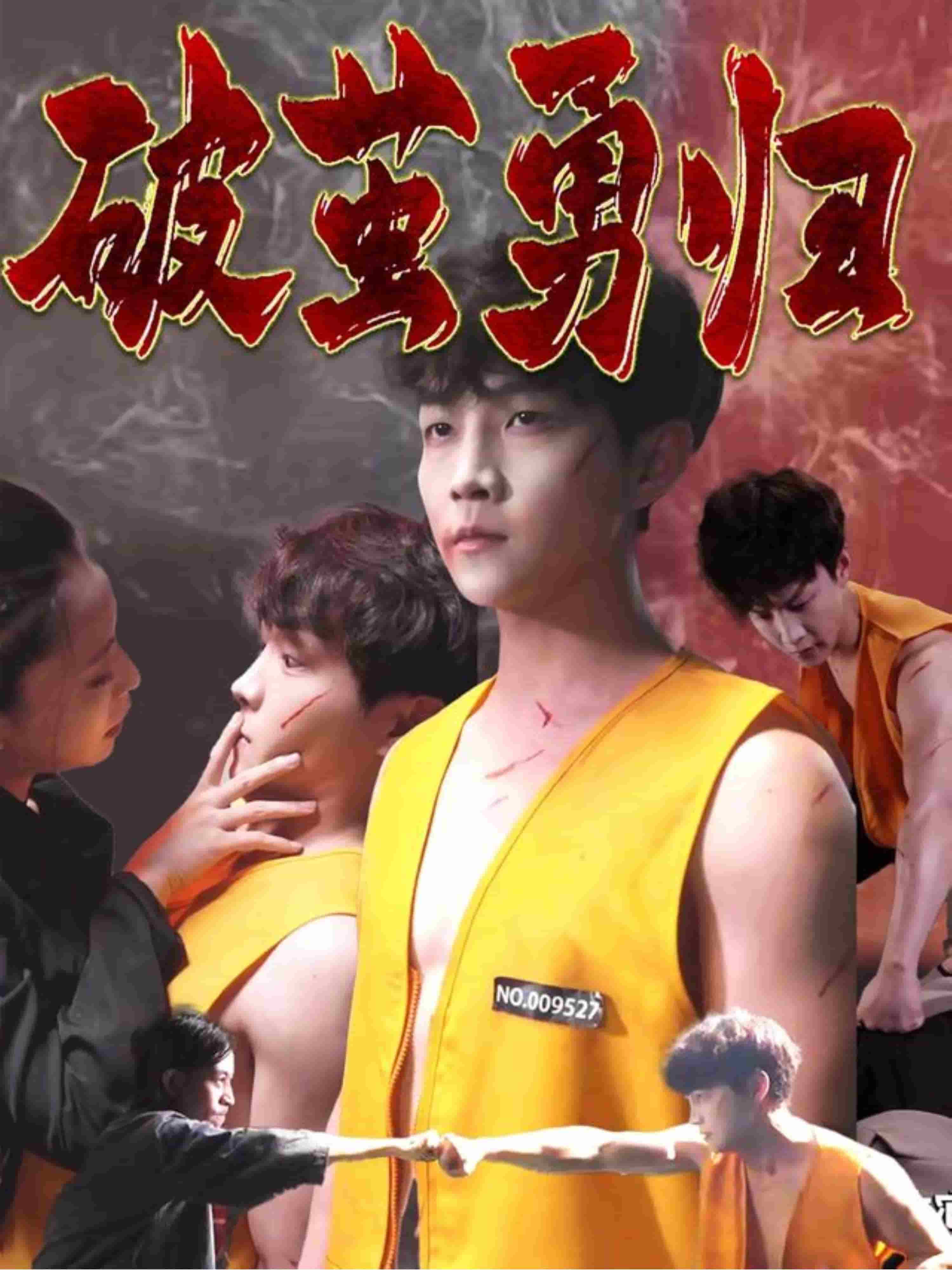 破茧勇归全集