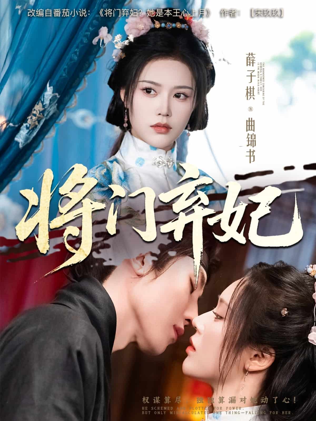 将门弃妃全集