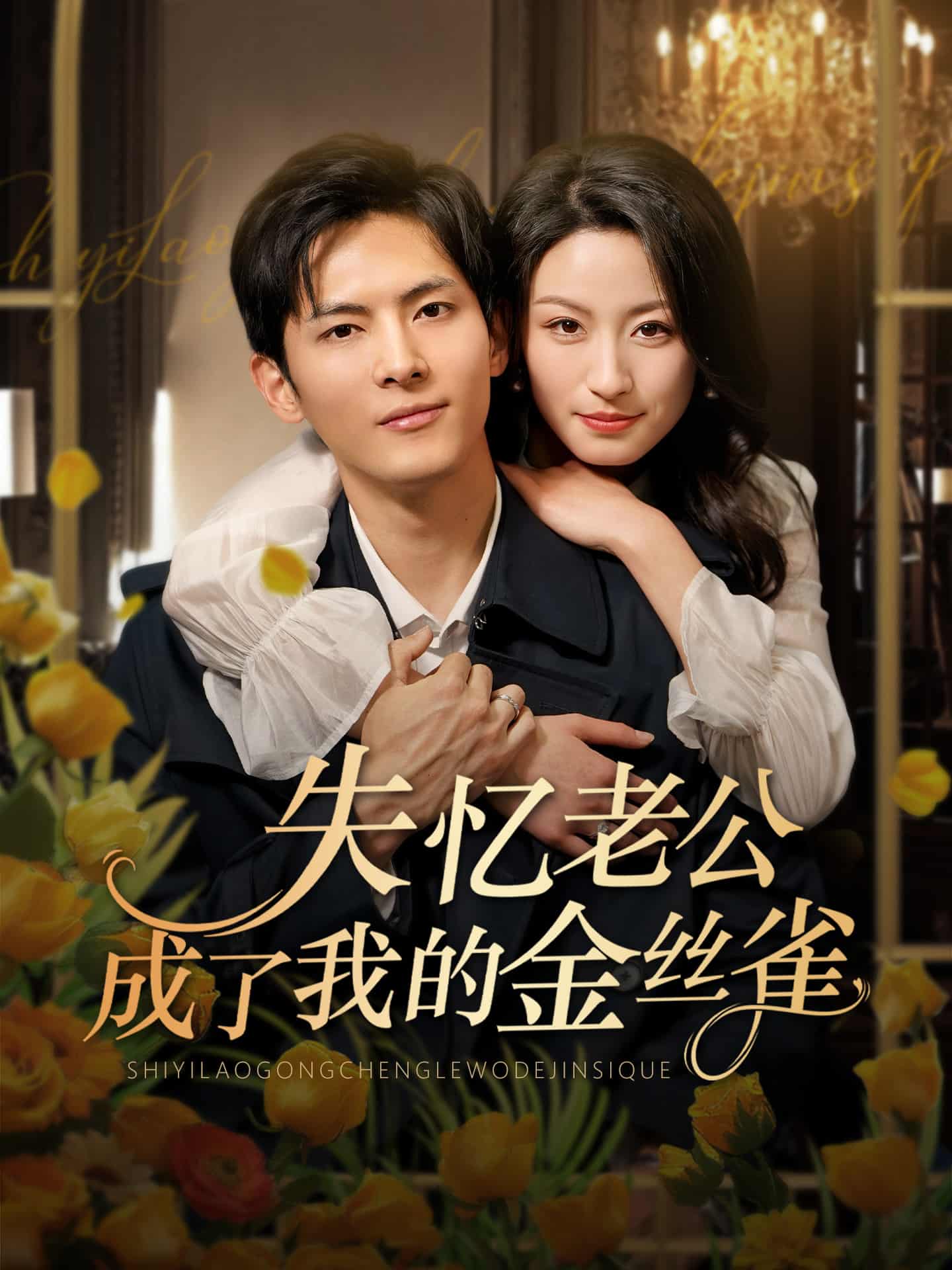 失忆老公成了我的金丝雀全集
