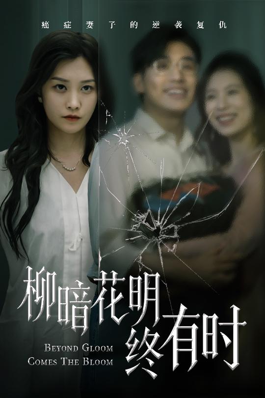 柳暗花明终有时全集