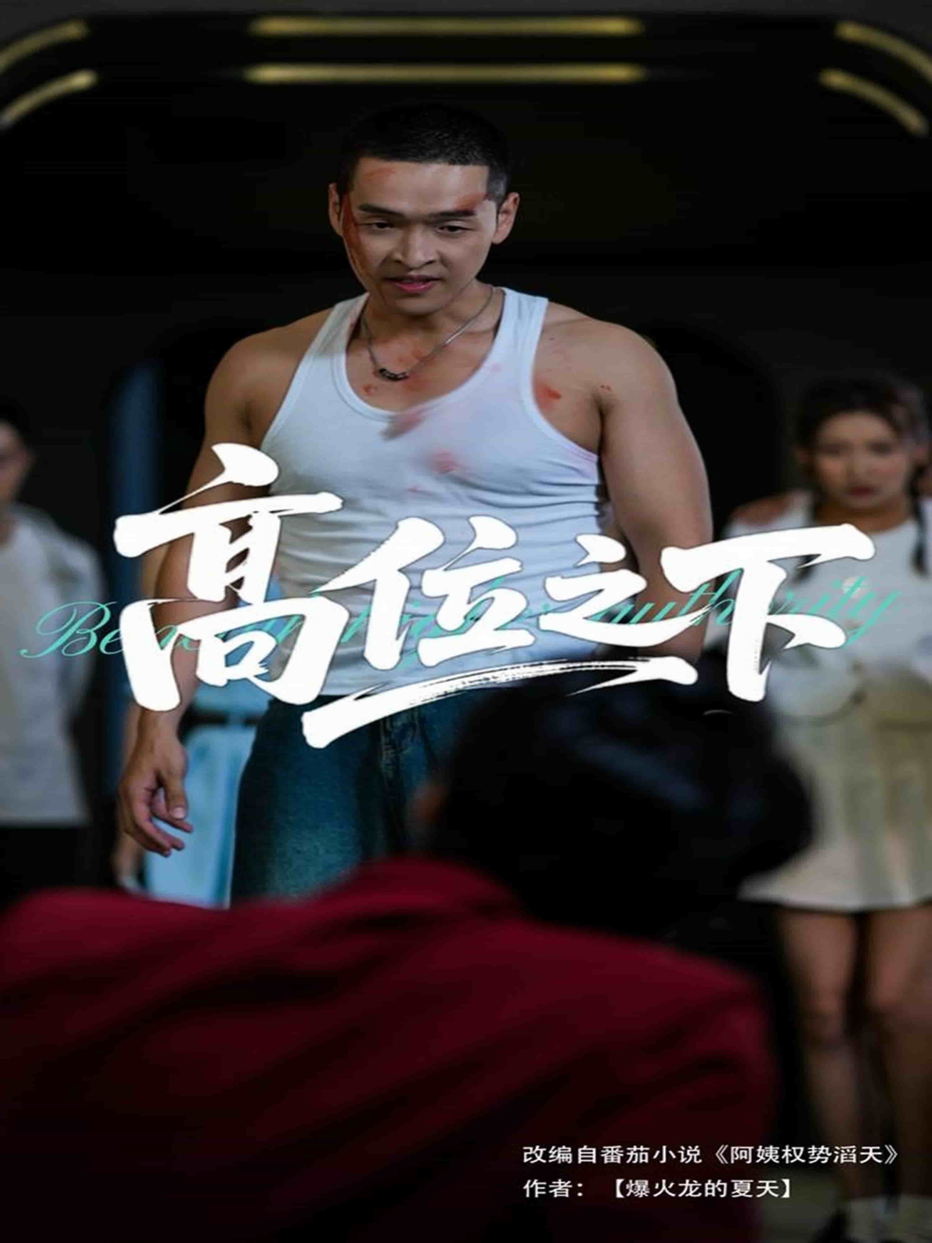 高位之下全集