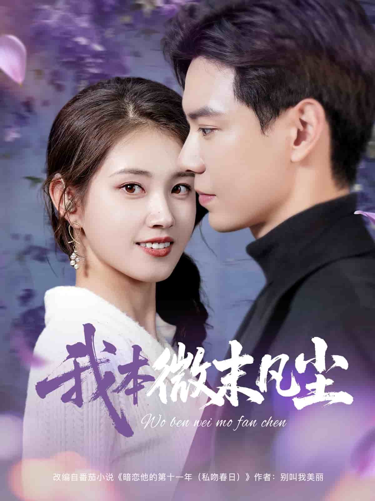 我本微末凡尘全集