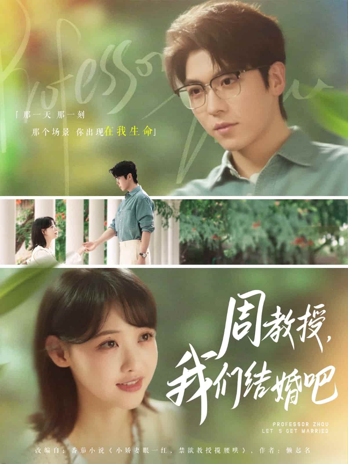 周教授我们结婚吧全集