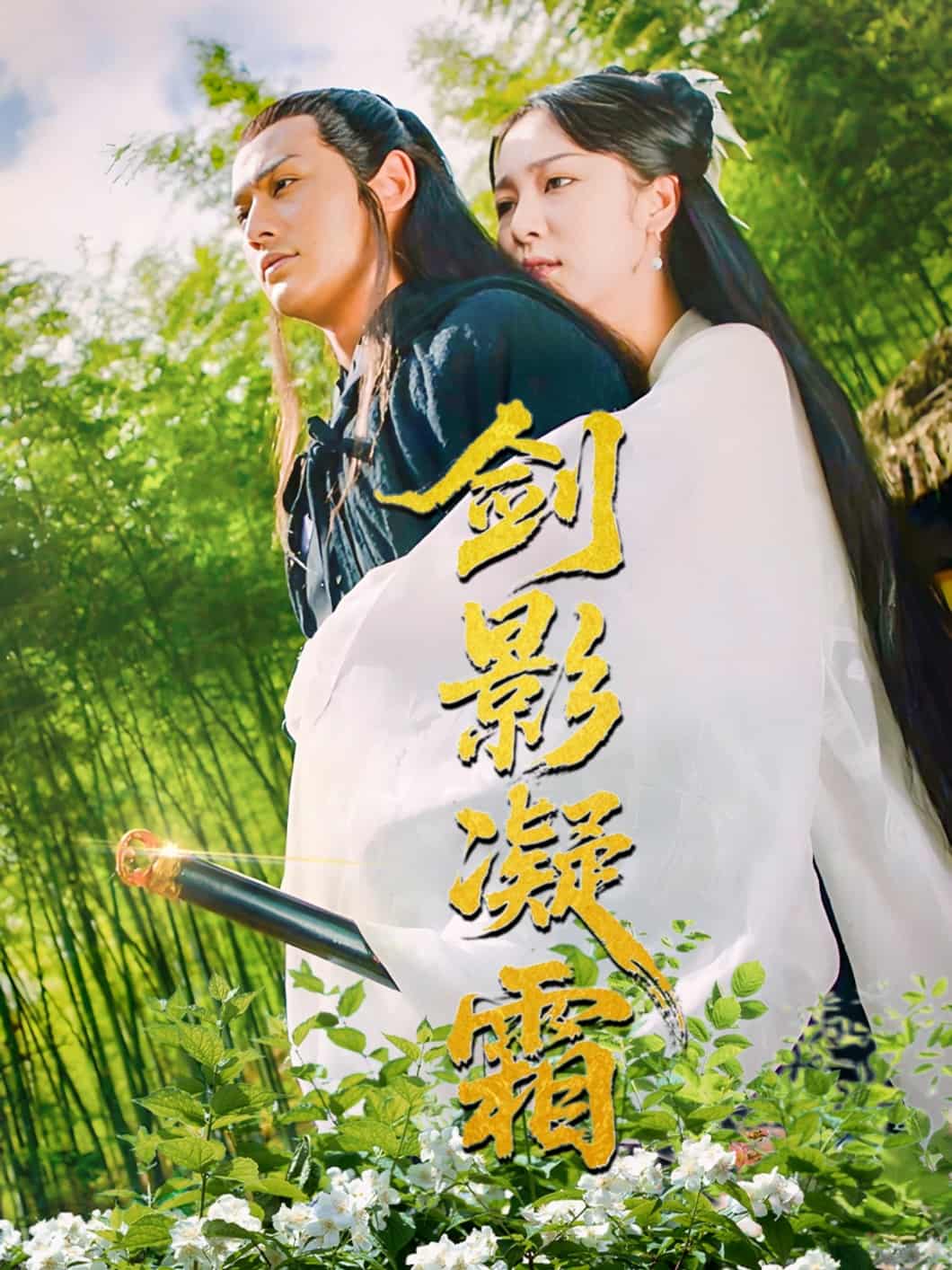 剑影凝霜全集