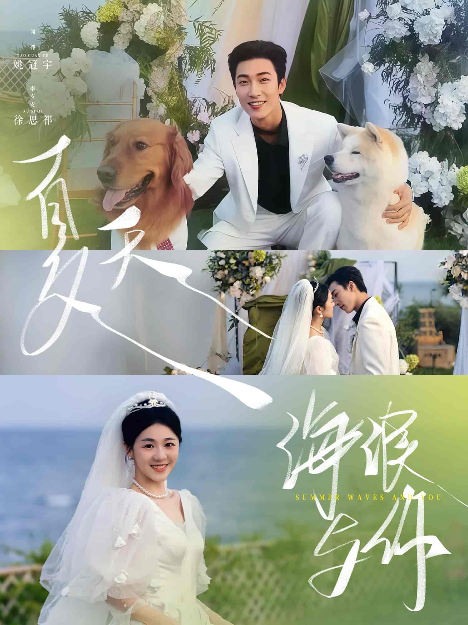 夏天，海浪与你全集