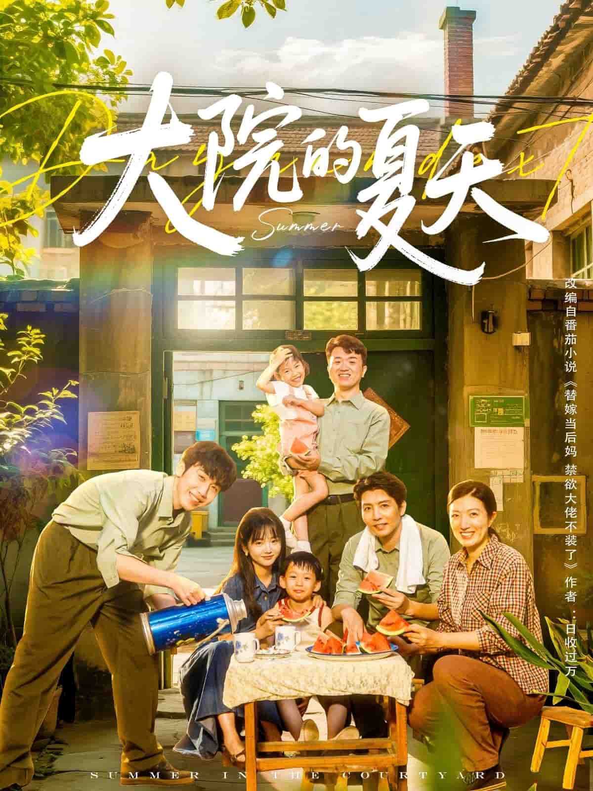 大院的夏天全集