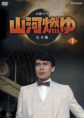 山河燃烧全集