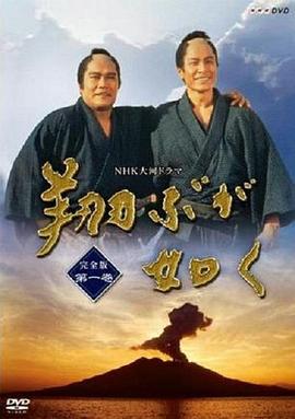 宛如飞翔全集