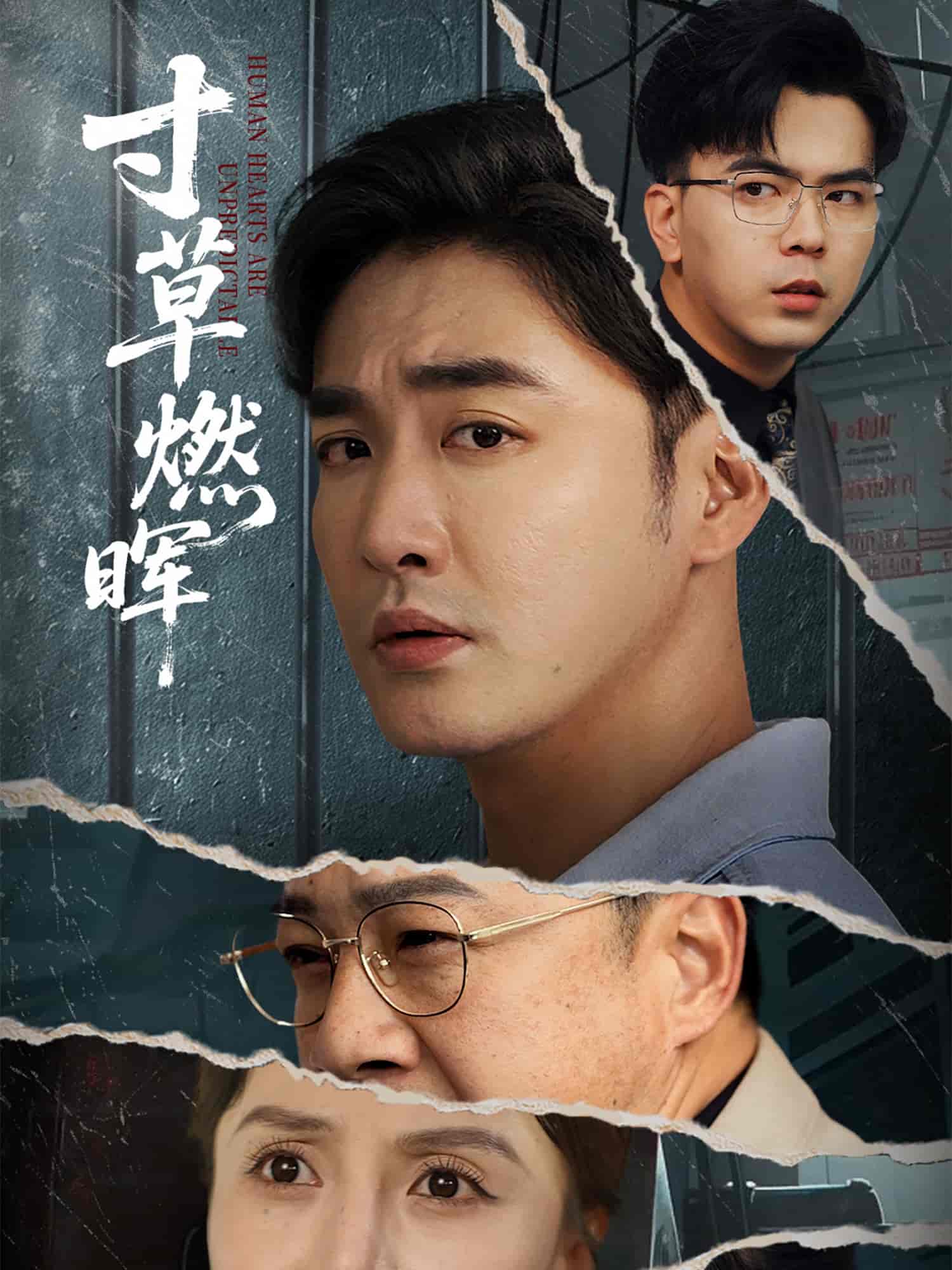 寸草燃晖全集