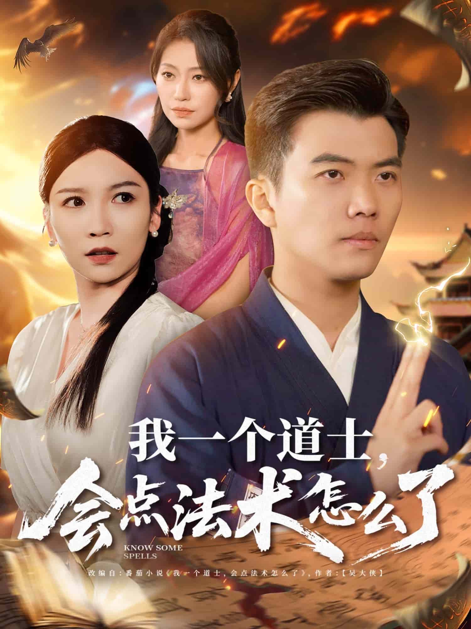 我一个道士会点法术怎么了全集