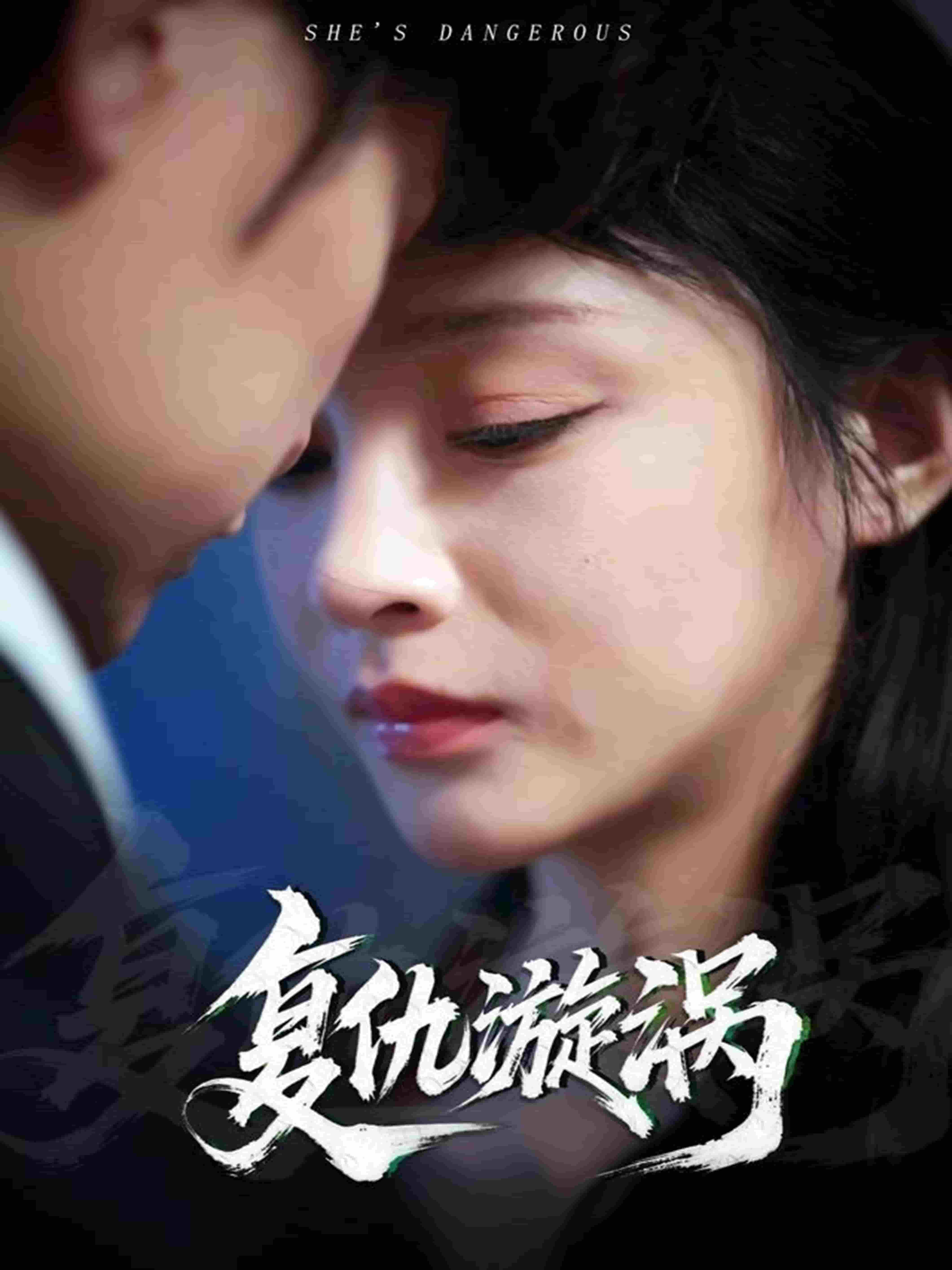 复仇漩涡全集