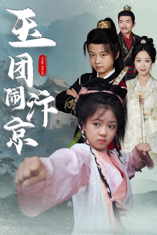 玉团闹汴京全集