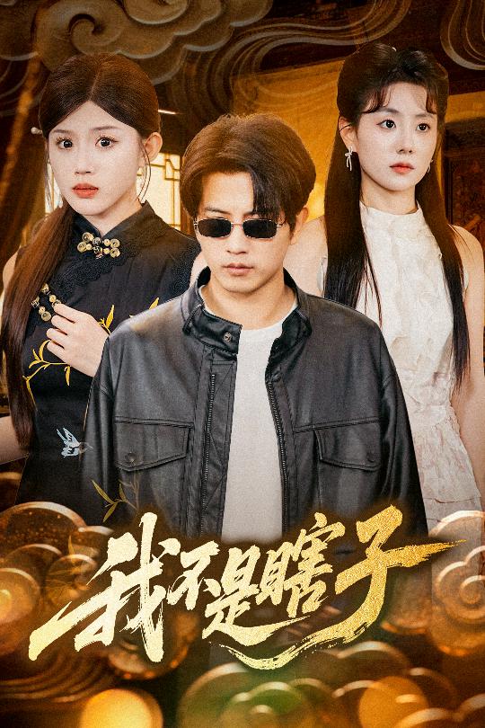 我不是瞎子全集