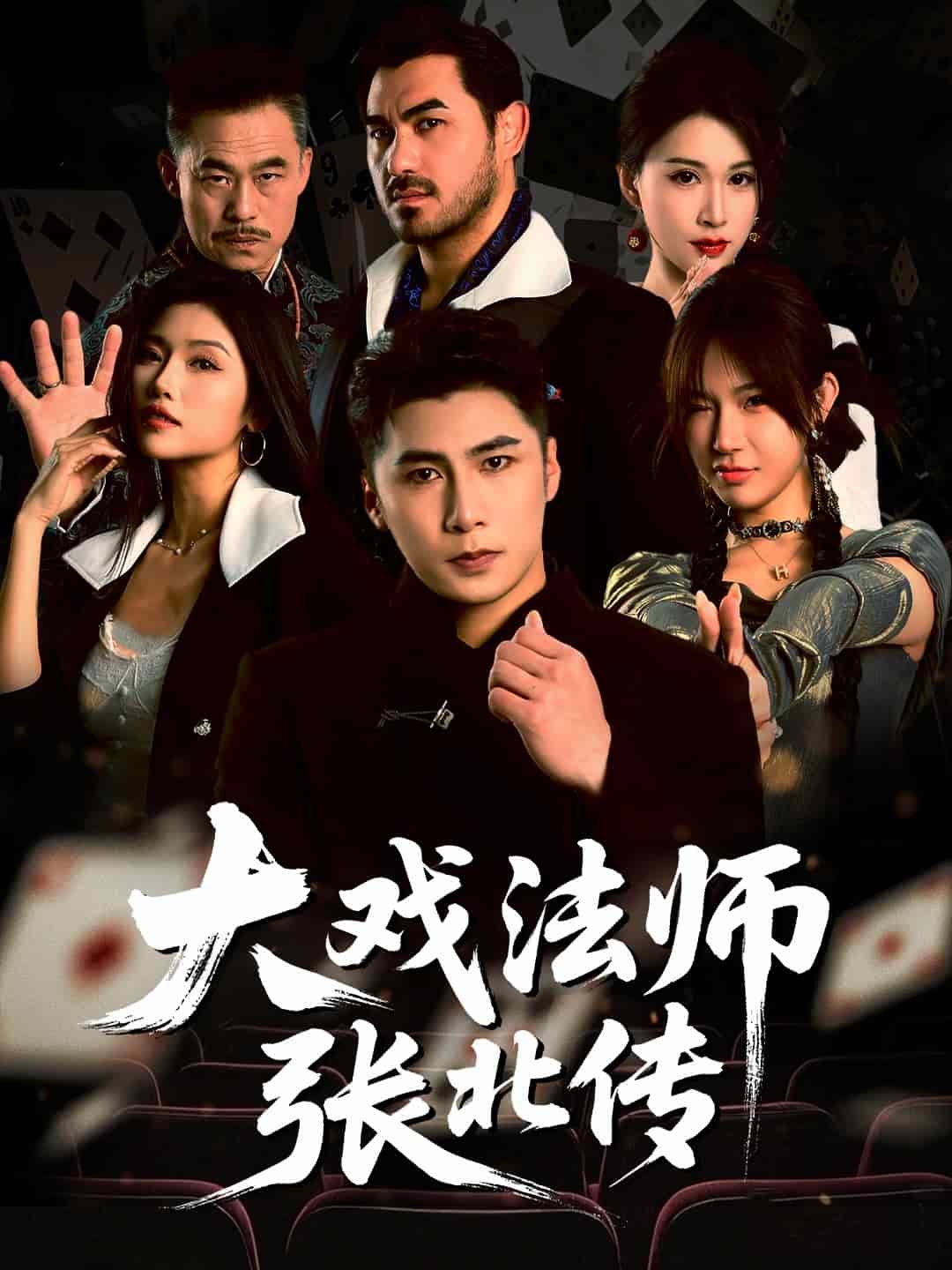 大戏法师张北传全集