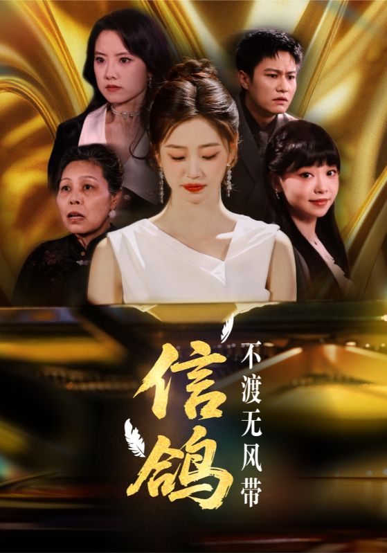 信鸽不渡无风带全集