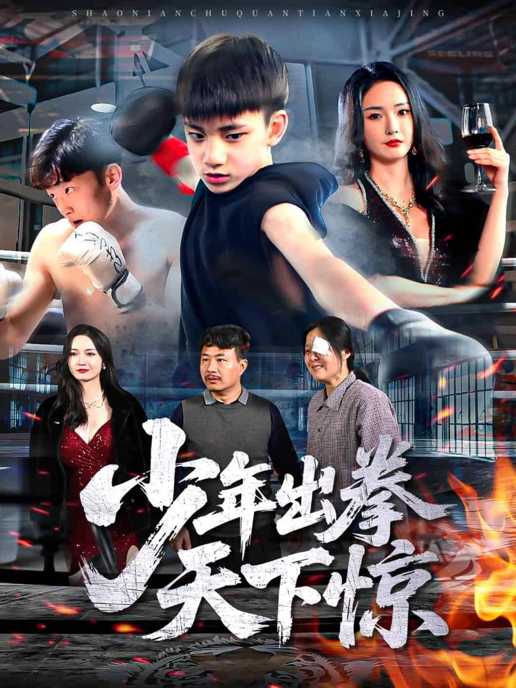 少年出拳天下惊全集