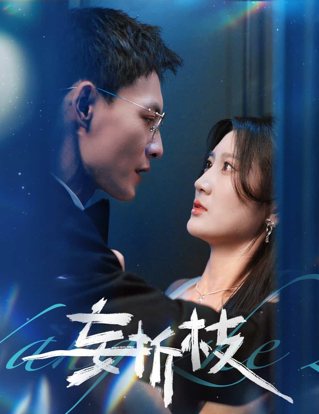妄折枝全集