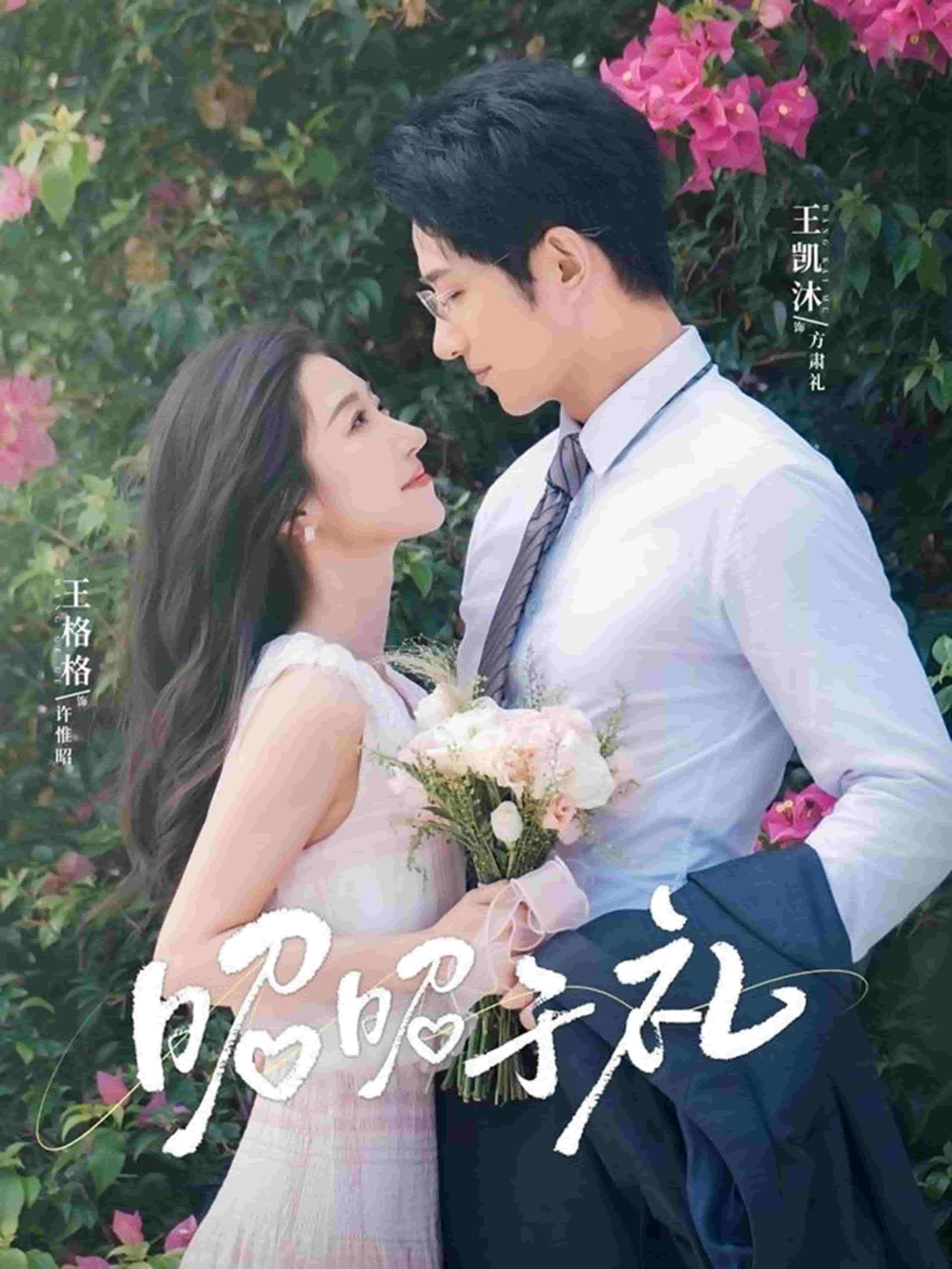 昭昭于礼全集